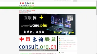 consult.org.cn 中国咨询行业联盟网（筹）