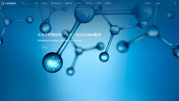 CDMO|CMC|化学原料药|制剂|一站式服务--浙江朗华制药有限公司