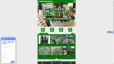 长沙绿植租摆|长沙办公室绿植|长沙花卉租赁——盆栽批发，就找福之林 长沙绿植租摆|长沙办公室绿植|长沙花卉租赁——盆栽批发，就找福之林