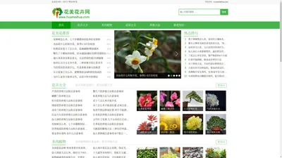 花卉大全、多肉植物、花语大全、养殖方法、鲜花知识_花美花卉网