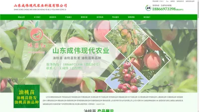 油桃苗|油桃苗批发|油桃苗新品种-山东成伟现代农业科技有限公司