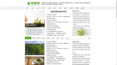 姑娘茶网-提供茶叶品牌,茶叶排行榜,茶叶价格,让你了解茶叶的种类,茶叶的功效与作用