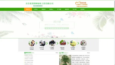 北京花卉租摆_绿植租摆公司_植物租赁-蓝润园林绿化工程有限公司