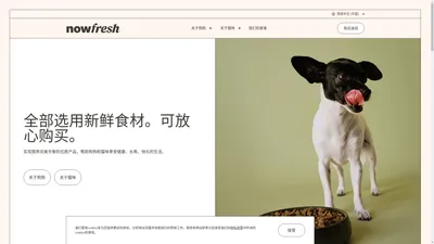 Now Fresh | 适合各种体型和年龄的优质宠物食品