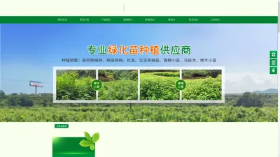 靖州县荣茂苗木有限责任公司_怀化苗木种植|怀化绿化苗木||怀化栽培技术