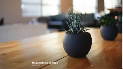 Miller Bros Blades – 美国米勒兄弟官网