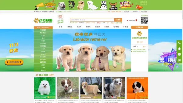 云南金牌犬业直营商城_买狗更划算、卖狗更正规、选狗更靠谱！