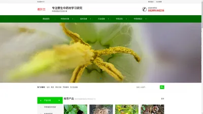 野生中草药研究和中药材种植批发采购平台-若叶兰