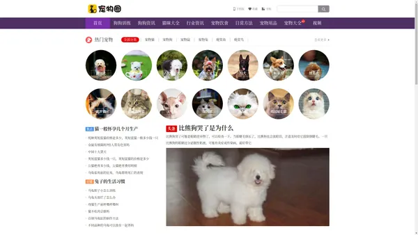 宠物圈 - 专注于狗狗美容护理狗狗训练教程