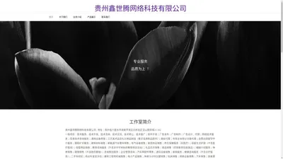 贵州鑫世腾网络科技有限公司