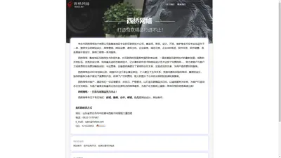 枣庄做网站,枣庄网页制作,枣庄做网页专业公司-西桥网络