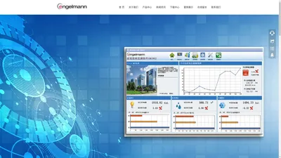 德国恩乐曼传感器有限公司