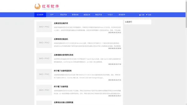 红石软件-大型企业信息化整合服务商,商业智能软件领导品牌