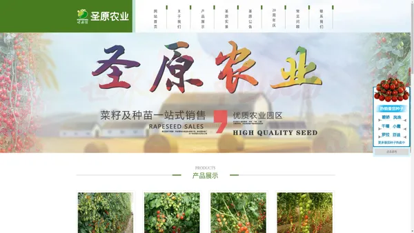 辽宁圣原农业有限公司-优质番茄苗|西红柿苗|蔬菜种苗|蔬菜种子销售基地