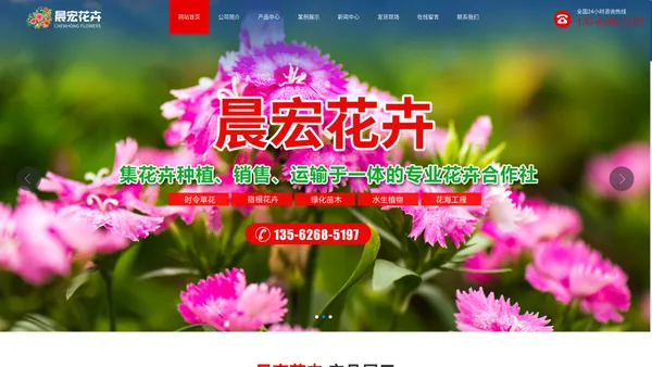 青州市晨宏花卉苗木专业合作社[公司官网]时令草花-宿根花卉-绿化苗木