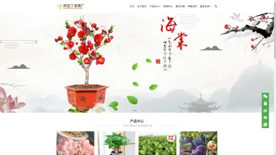 仙桃市阿拉丁苗圃厂-一家专门研发种植果树盆栽的厂家