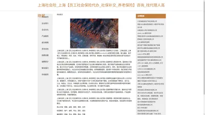 上海社会险_上海【员工社会保险代办_社保补交_养老保险】咨询_找代理人高晓琴