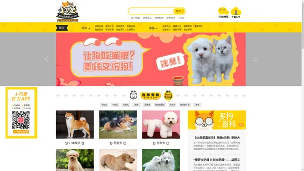 小可爱宠物网_宠物猫狗品种及图片视频_宠物猫咪狗狗专业平台