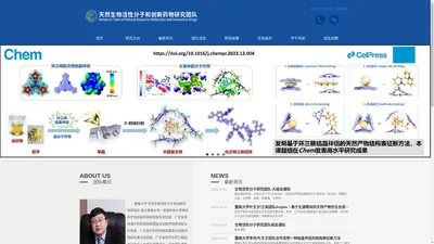 生物活性分子团队-叶文才教授