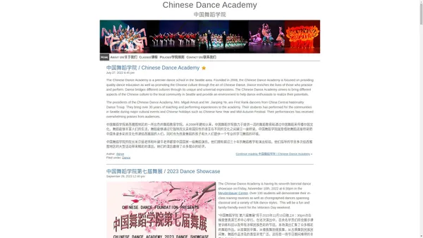 Chinese Dance Academy - 中国舞蹈学院