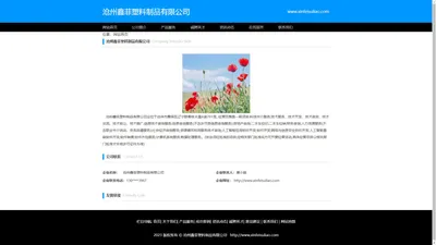 沧州鑫菲塑料制品有限公司