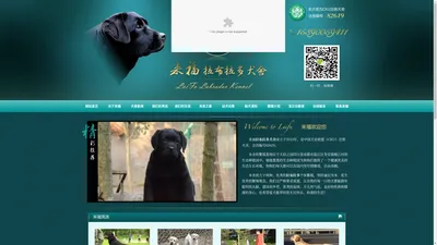 拉布拉多犬-欢迎访问来福拉布拉多犬舍官方网站！ - 来福犬舍