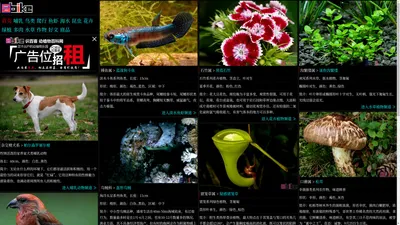 Sbike，识百客，动植物百科网，国内最专业的动物、宠物、植物、花卉科普信息分类、资料速查网站，足不出户的动植物乐园！