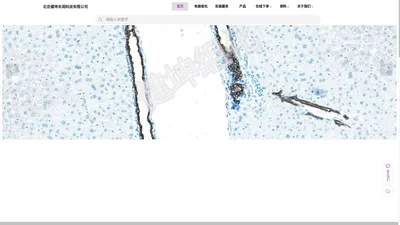 免疫组化-免疫荧光-原位杂交-多重免疫组化-HE染色-健坤免疫组化