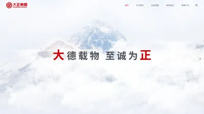 大型投资管理型公司-大正集团