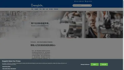 高品质流体系统解决方案和部件 | Swagelok