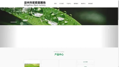 绿化苗木销售,工程苗木价格-河北定州景观园林绿化基地网