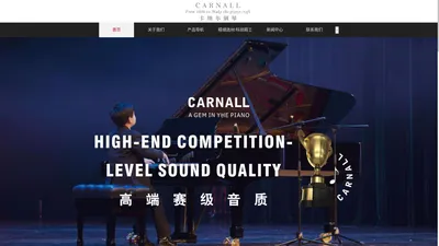 卡纳尔（CARNALL）德国瑰宝 全新进口品质钢琴