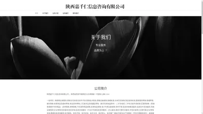 陕西嘉千仁信息咨询有限公司