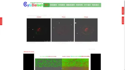 西安赛拓博泰生物科技有限公司