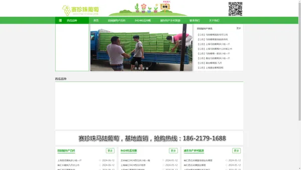 南汇8424西瓜网-南汇8424西瓜网丨南汇8424西瓜采摘价格多少钱一斤丨南汇8424西瓜礼盒