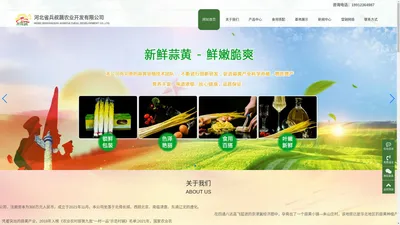 唐山蒜黄培育,河北省兵叔蔬农业开发有限公司-河北省兵叔蔬农业开发有限公司