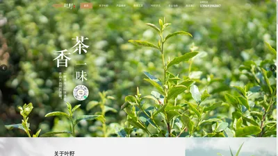 叶籽品牌茶_白茶_普洱茶-一三叶籽茶业有限公司