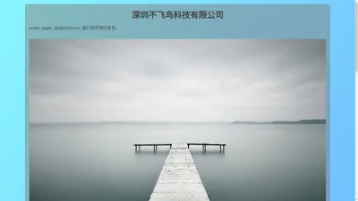 深圳不飞鸟科技有限公司