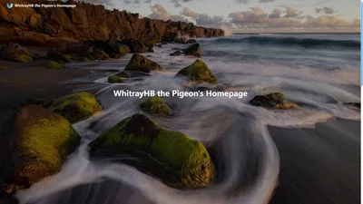 WhitrayHB the Pigeon's Homepage - 不咕鸽的个人主页