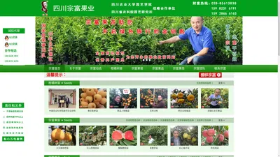 成都天府新区宗富水果种植专业合作社|柑橘苗