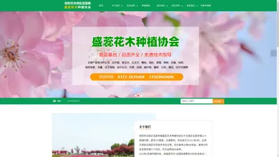 安阳市文峰区宝莲寺镇盛蕊花木种植协会