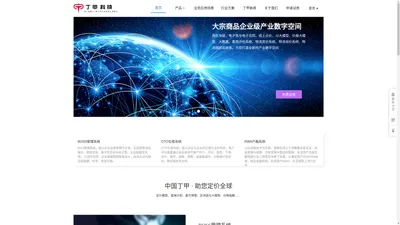 上海丁甲软件技术有限公司