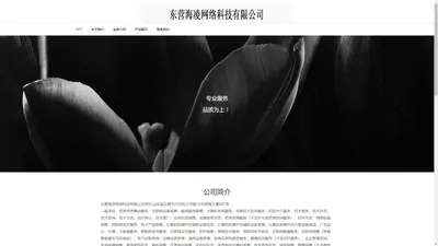 东营海凌网络科技有限公司