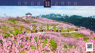 圣水湖桃花岛|重庆桃博农业开发有限公司|重庆乡村旅游