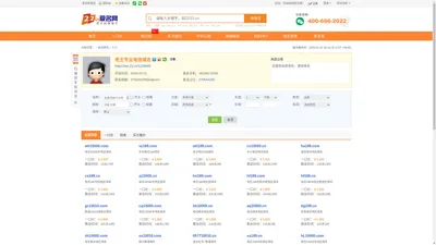 老王专业电信域名_爱名网22.CN