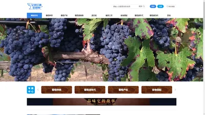 全球红酒信息网-winery.org.cn_全球红酒信息网