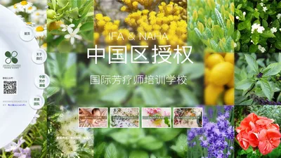 梓烨国际芳疗学院AROMA CHANNEL