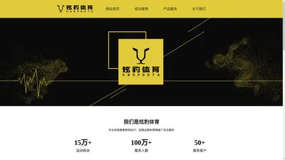 重庆炫豹体育文化产业有限公司