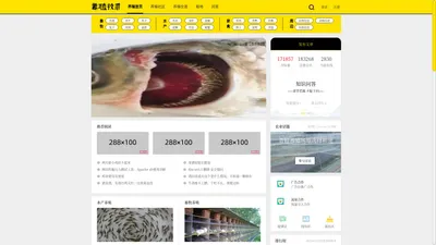 养殖技术网_全国养殖网站_提供养殖技术视频_农产品价格信息查询-养殖联盟