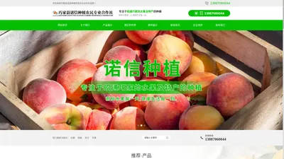 巧家优质水果网_巧家水果_巧家县诺信种植农民专业合作社